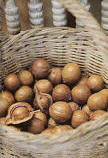 A basketful of homegrown macadamia nuts