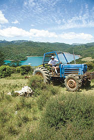 The view from the top of Sven's property